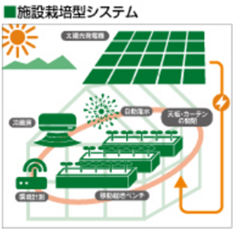 施設栽培型システム